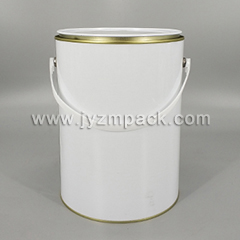 5 Liter lever lid can
